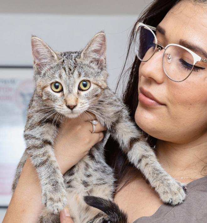 Person wearing glasses holding a tabby kitten