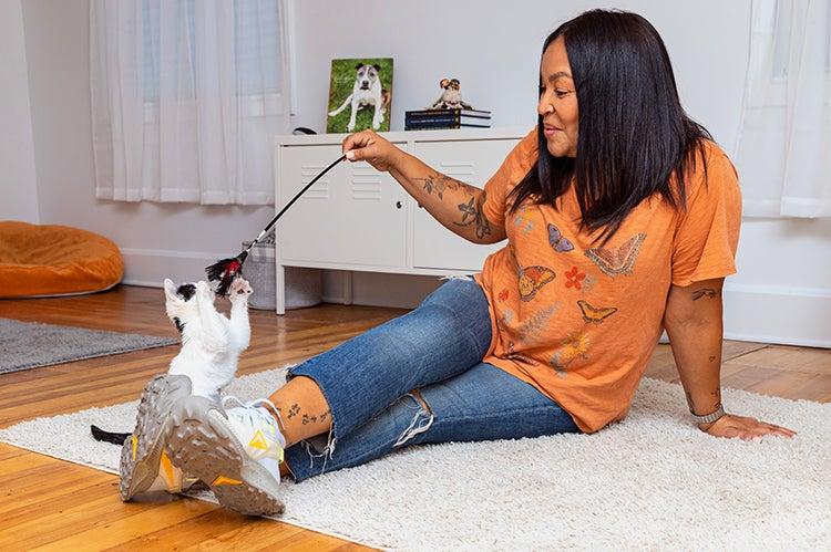 Person playing with a wand toy with her foster kitten