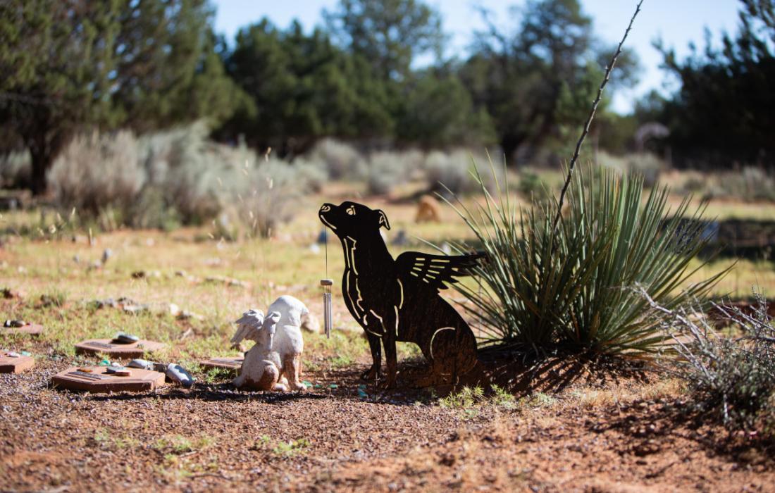 Memorial site with two statues of angel dogs with wings