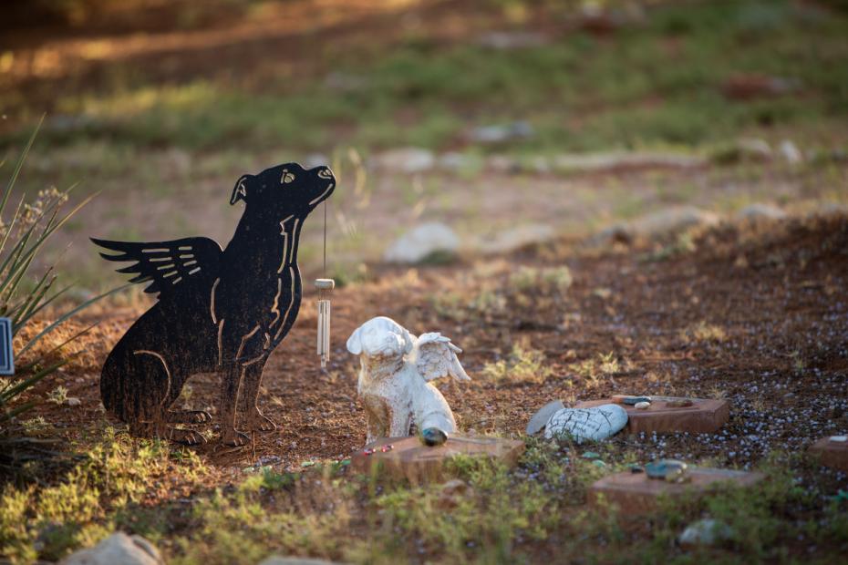 Two animal memorial statues of dogs with angel wings
