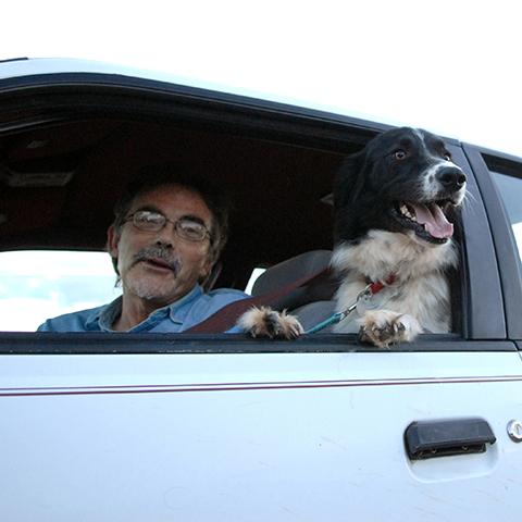 Antony Gleeson with a dog in a car