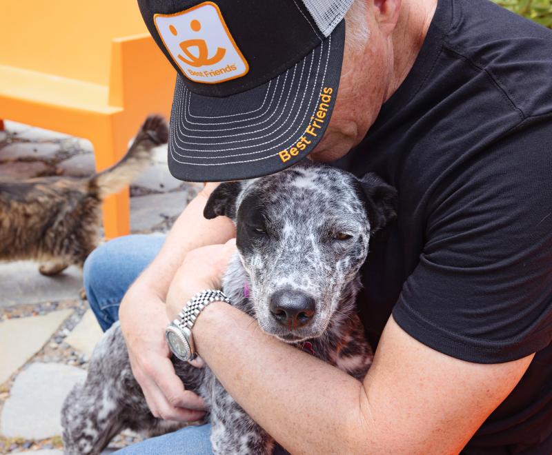 Person wearing Best Friends gear while hugging a dog