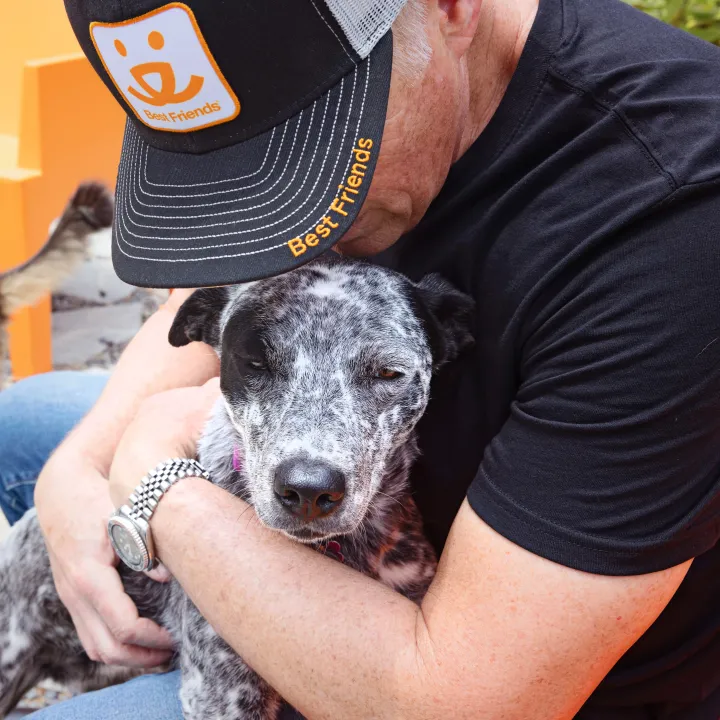 Person hugging their dog