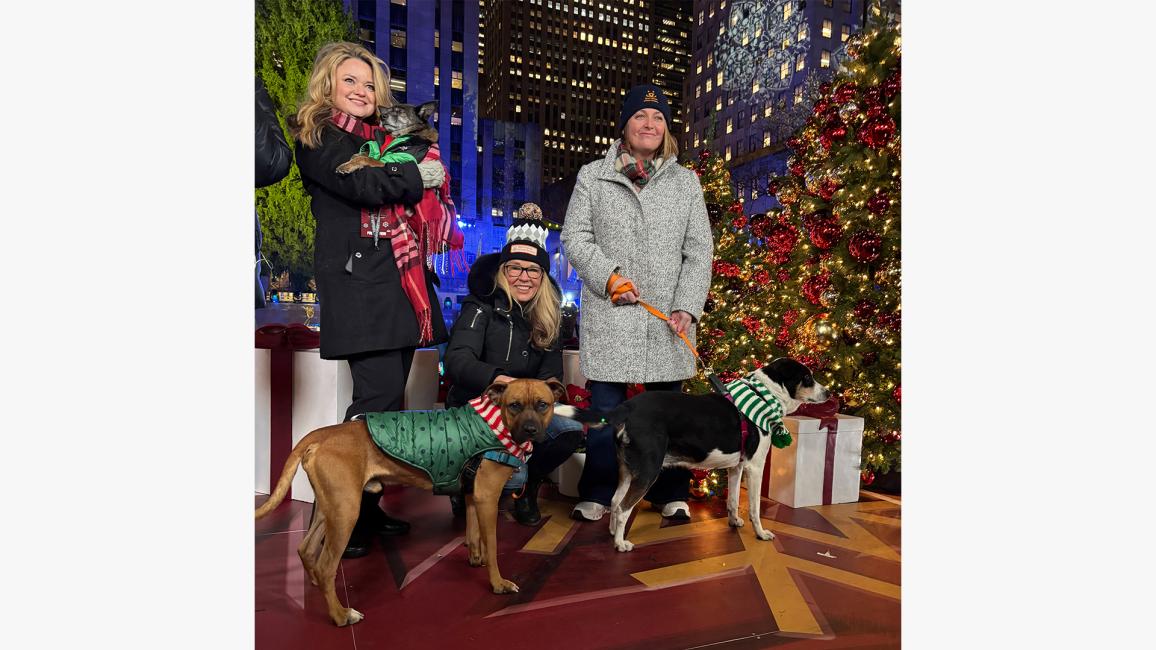 Three people, including Best Friends CEO Julie Castle, with three dogs at New York's Rockefeller Center
