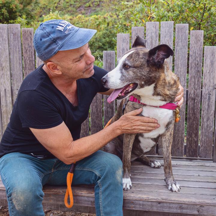 Person hugging a dog sitting on a bench next to them