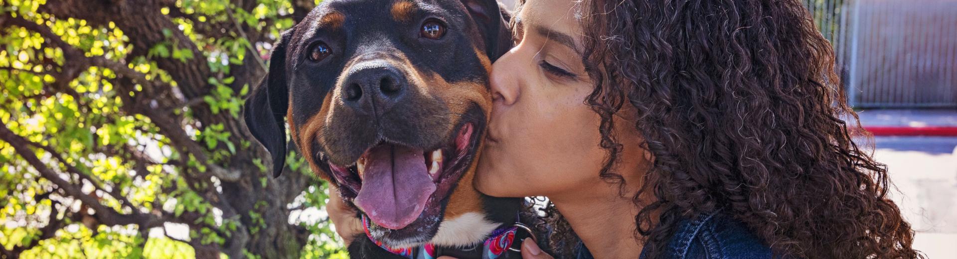 Person hugging a dog while sitting outside in a yard