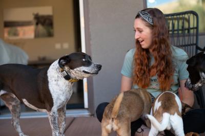 Didgeri the dog and Landon outside with two other smaller dogs