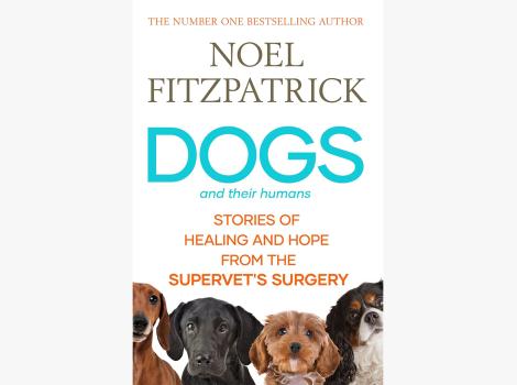 Book cover for "Dogs and Their Humans: Stories of Healing and Hope from the Supervet’s Surgery"