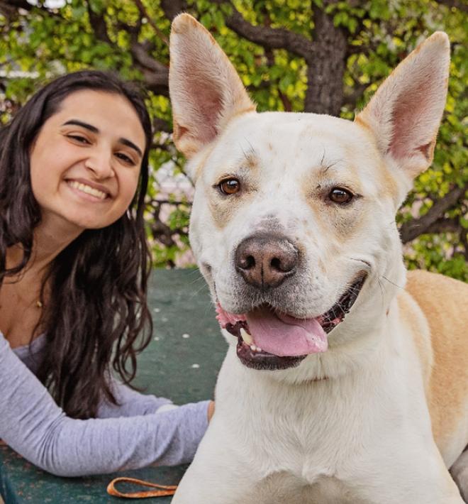 Person sitting outside with a dog at a picnic table