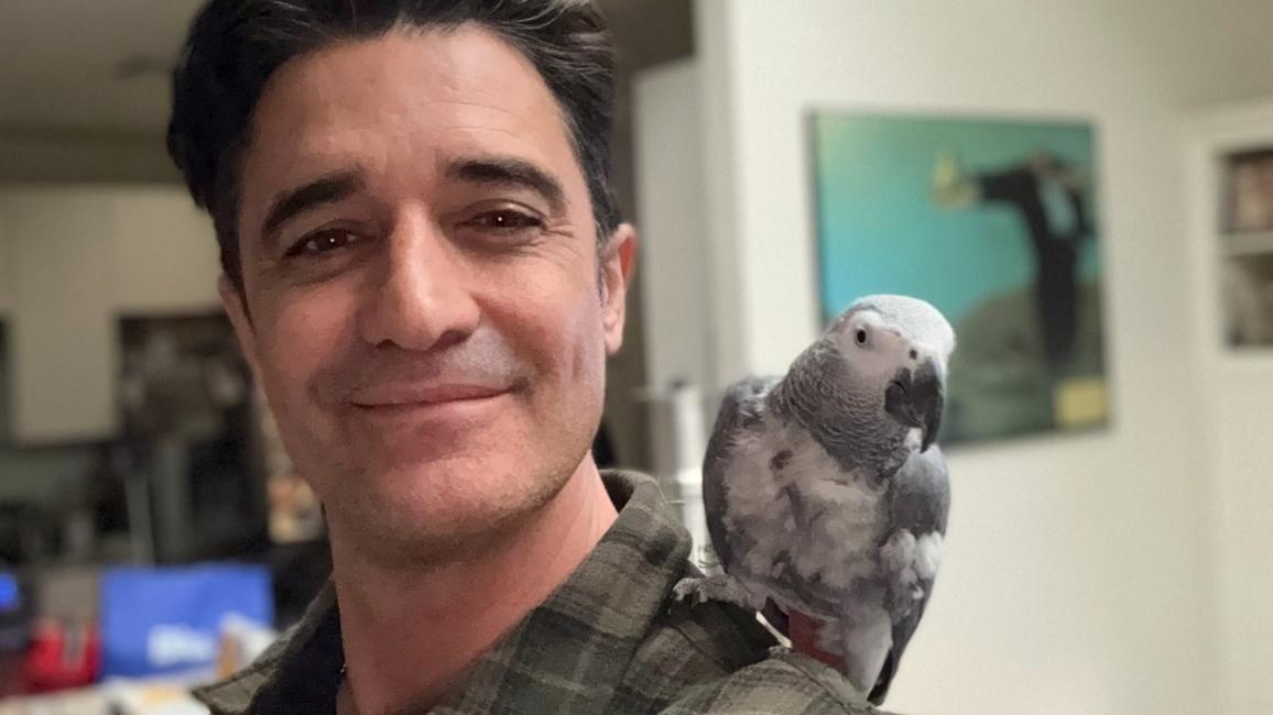 Actor Gilles Marini with Z the African grey parrot