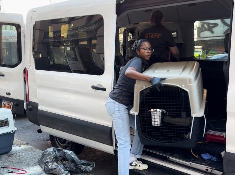 Person removing a large crate from a transport van