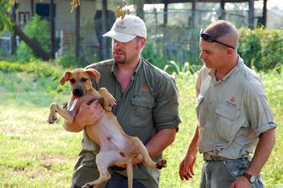 Two people outside with a puppy rescued after Hurricane Katrina