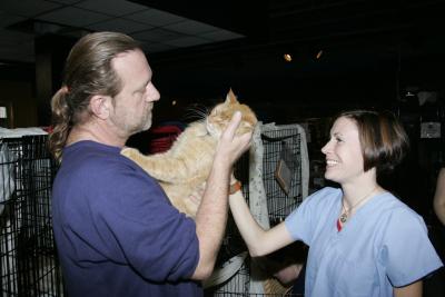 Person holding an orange tabby cat while another person pets the cat