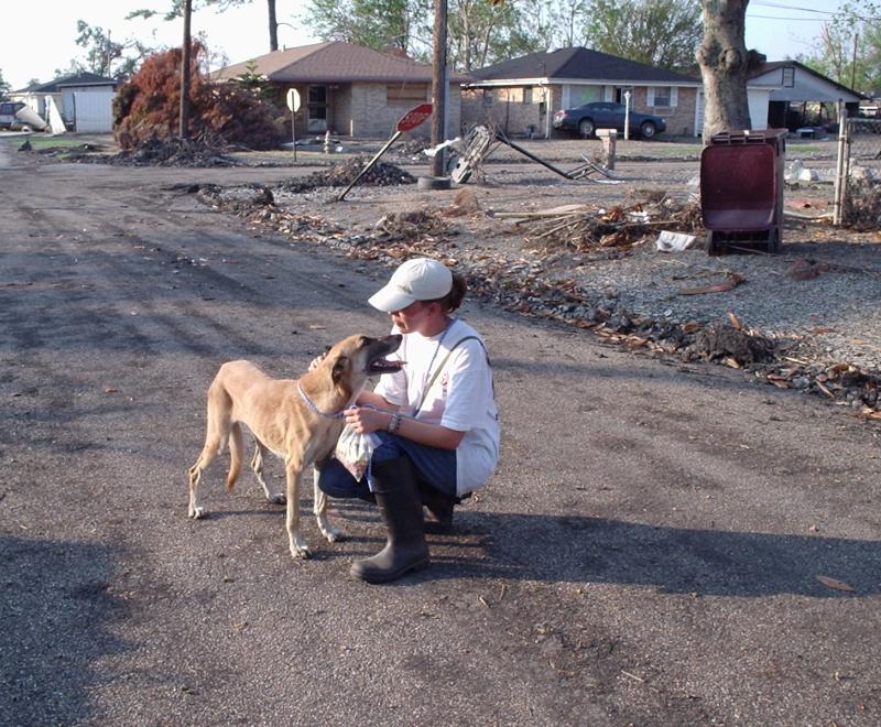 Picking up a dog who had been on her own in an evacuated neighborhood for weeks after the storm hit. She was later reunited with her family.