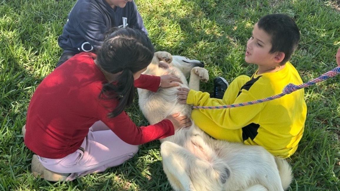 Adopted dog plays with his new family
