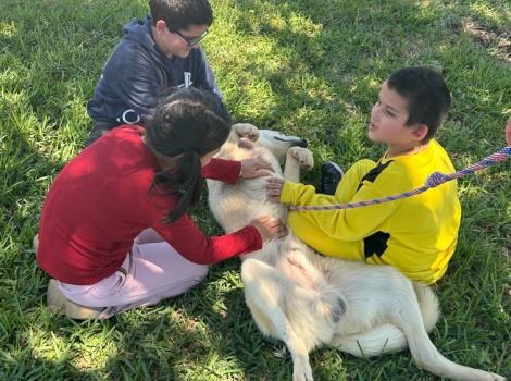 Adopted dog plays with his new family