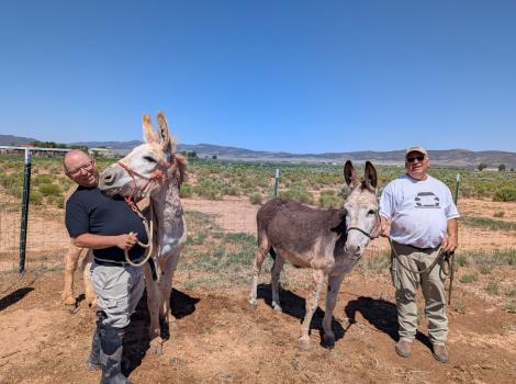 Two people with Jack and Noah the donkeys, with one of the donkeys kissing one of the people