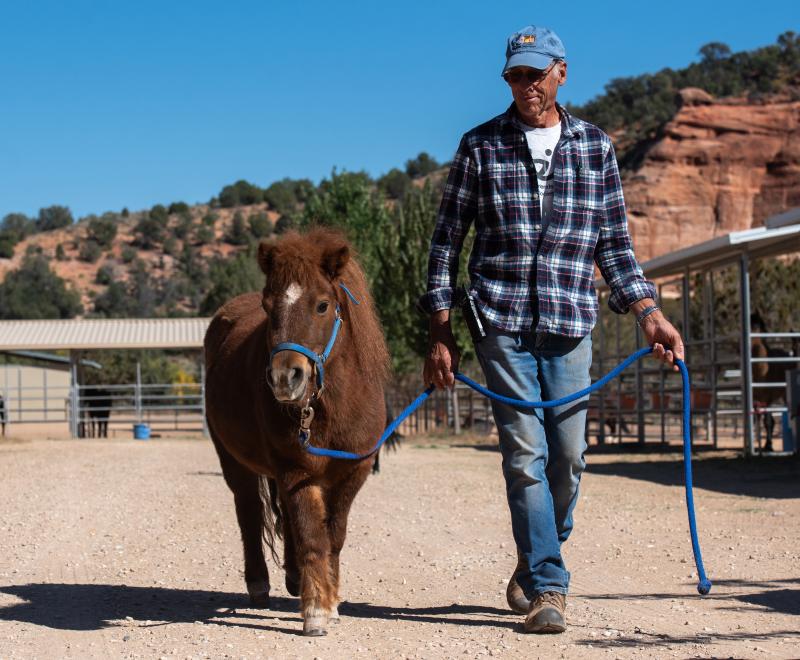 Person walking outside with a small horse at Best Friends Animal Sanctuary in Southern Utah