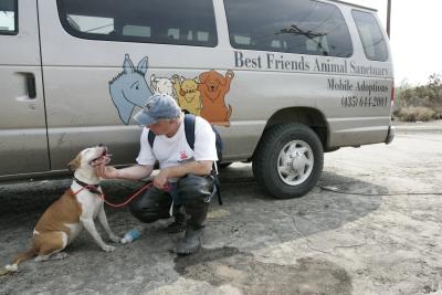 Person wearing a Best Friends T-shirt and hat scratching a dog under his chin beside a Best Friends van following Hurricane Katrina