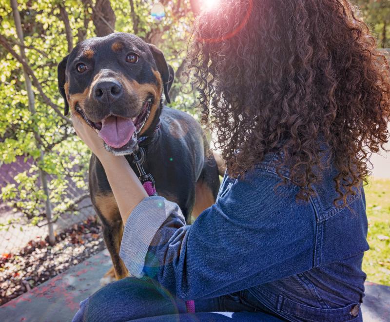 Person sitting down next to a dog outside with their arms around them