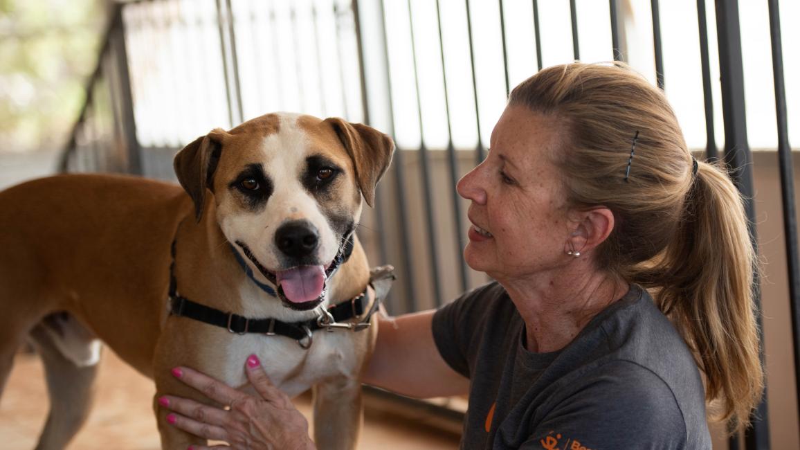 Volunteer working with a dog