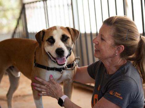Volunteer working with a dog