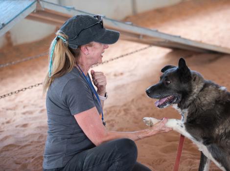 Maryanne Pagonis with her hand holding the paw of Magpie the dog