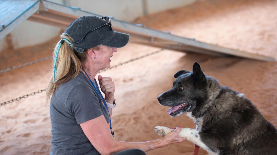 Maryanne Pagonis with her hand holding the paw of Magpie the dog