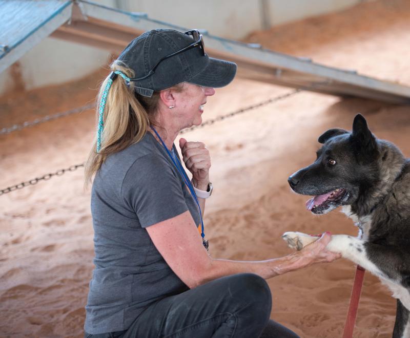 Maryanne Pagonis with her hand holding the paw of Magpie the dog