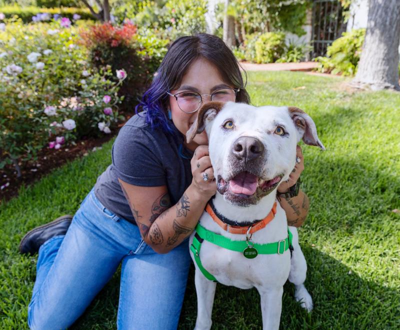 Person kneeling down to hug a dog in the grass