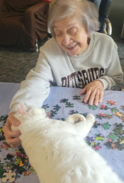Senior citizen petting George the cat, who is lying on a table covered in puzzle pieces