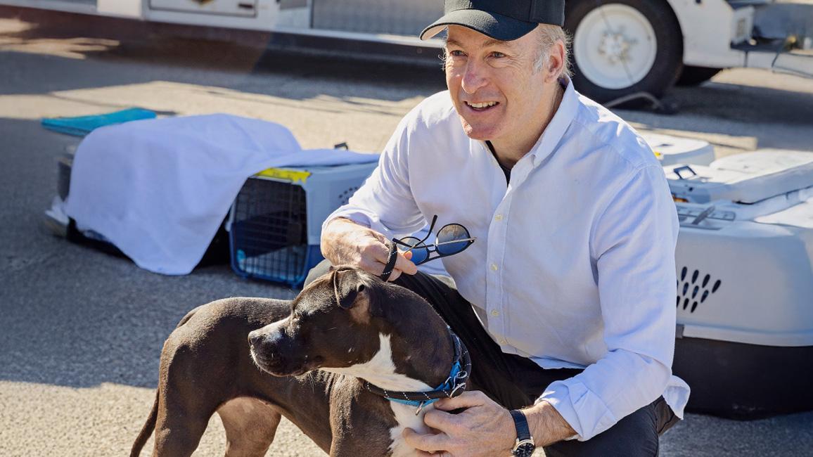 Bob Odenkirk with a dog helping at a flight transport event during the Los Angeles wildfires