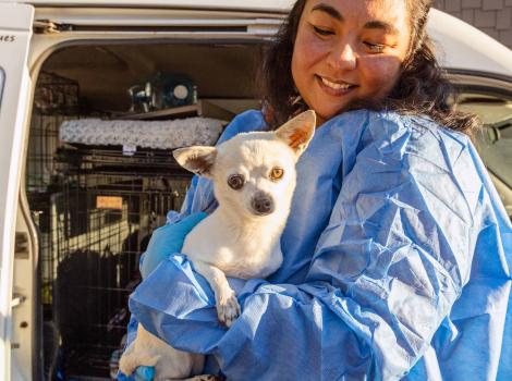 Smiling person wearing a protective gown holding Wally the Girl the dog