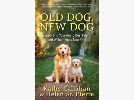 Book cover of "Old Dog, New Dog: Supporting Your Aging Best Friend and Adding a New One"