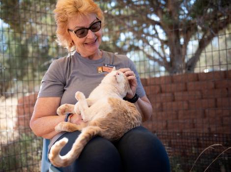 Leo Decatmeow the cat in a person's lap and looking very happy