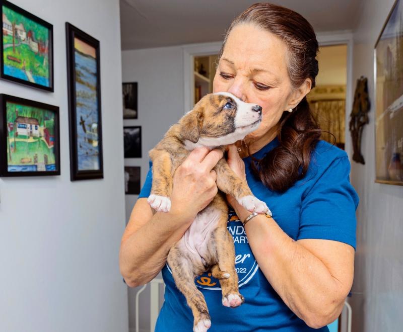 Happy person holding a tiny puppy