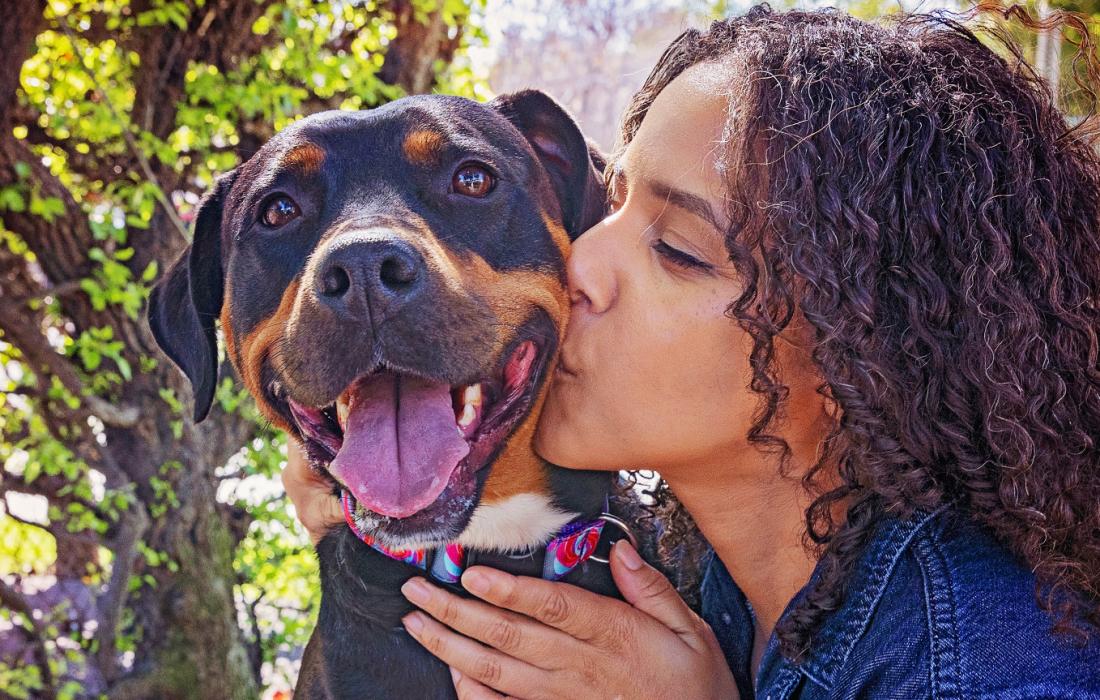 Person kissing the side of a happy dog's face