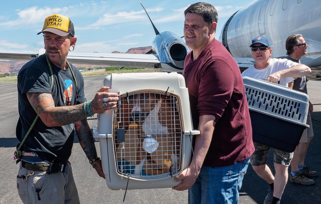 People transporting dogs in crates off a flight transport following the floods in Texas