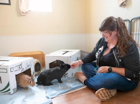 Keala Richter sitting on the ground beside Phoenix and Thumbelina the rabbits