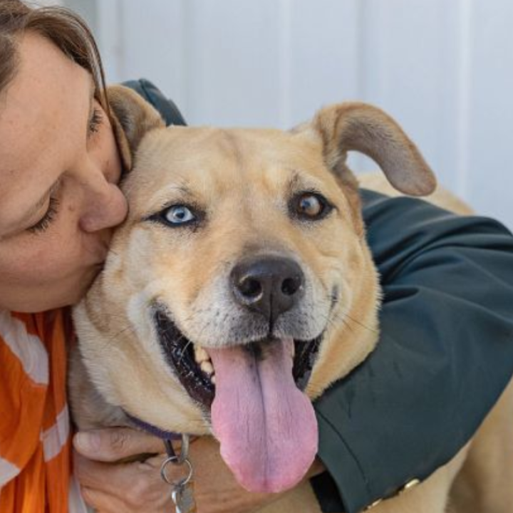 Darly kissing her dog on the head