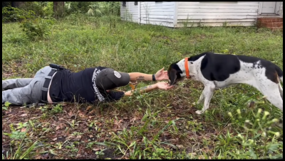 Officer Girardeau outstretching her hand full of treats to Missy